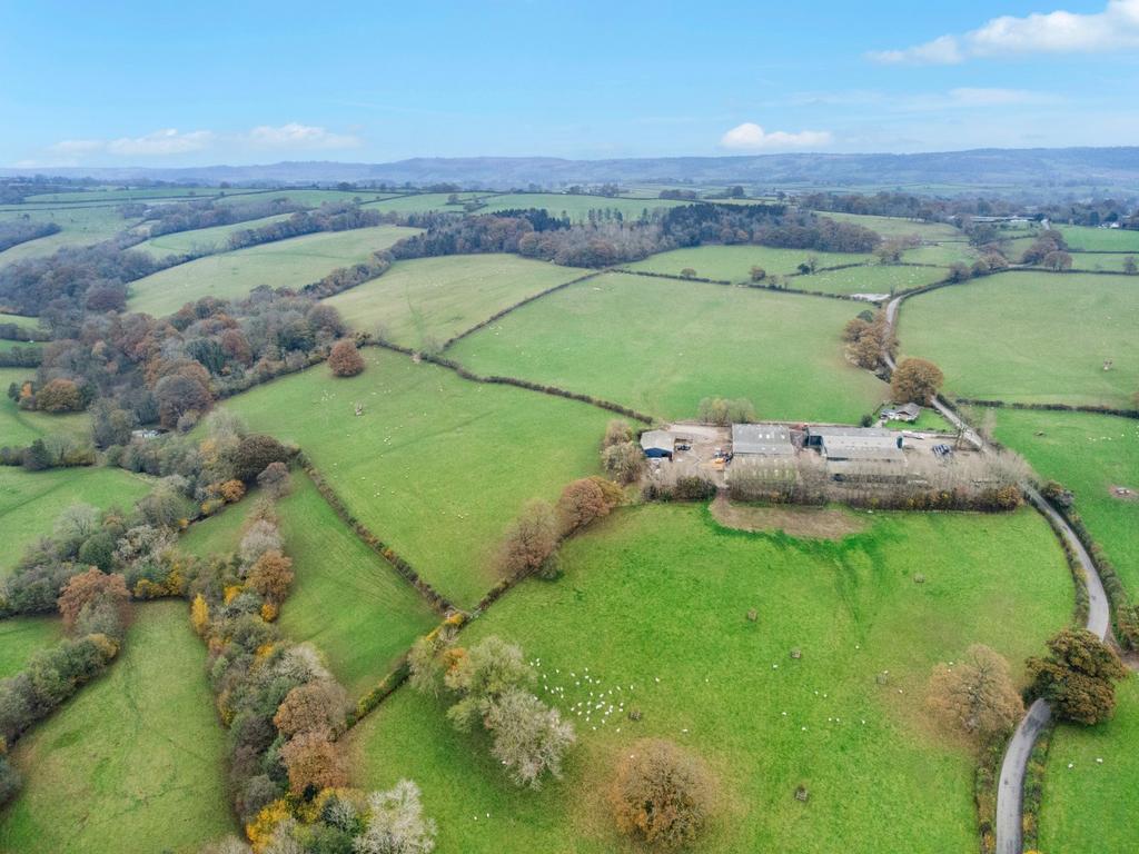 Bank Farm