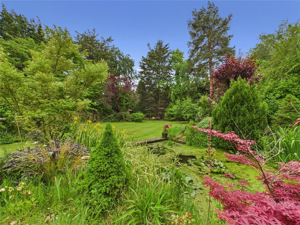 Picture No. 56
