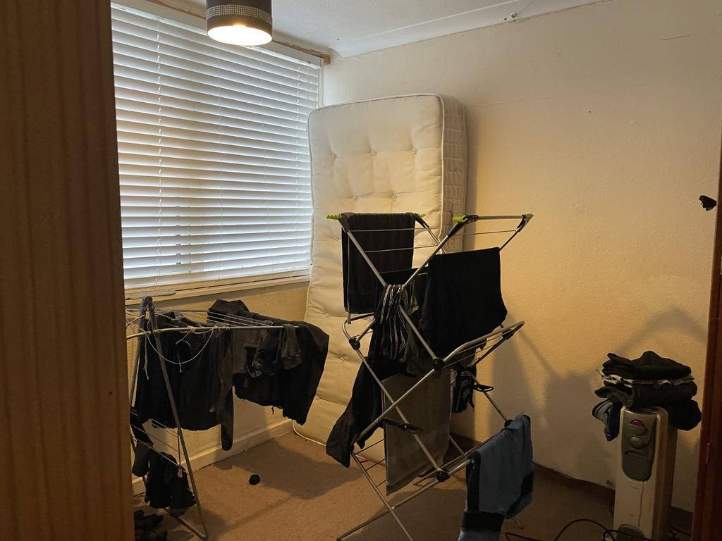 IMG 3515 T202502251257.jpeg