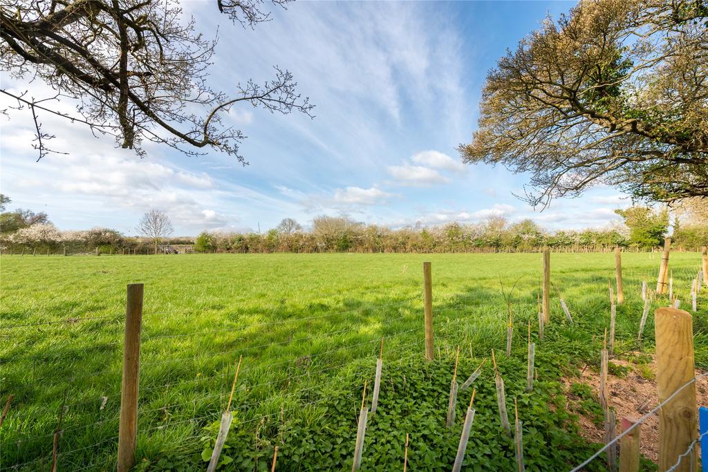 Fields Behind Garden