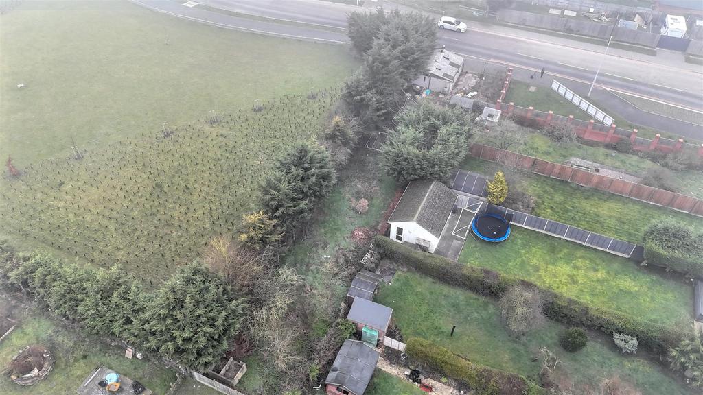 DJI 20240306055128 0415 D.jpeg