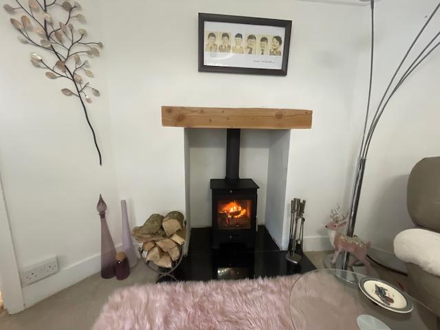 Log Burner