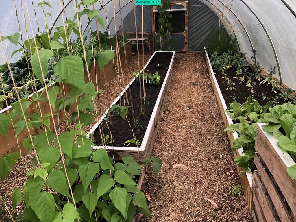 Polytunnel