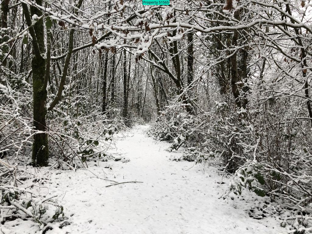 Fedwen in Winter