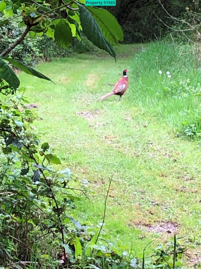 A visitor