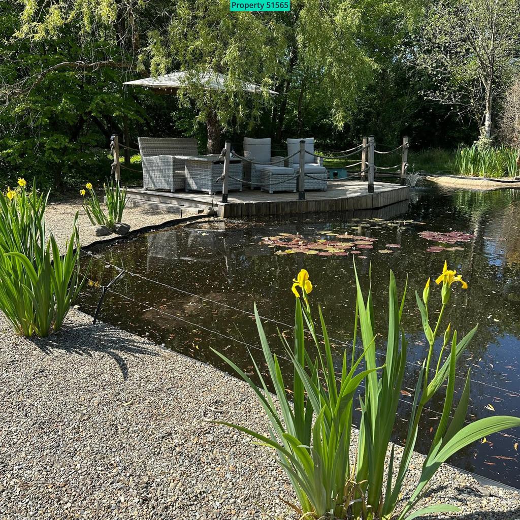 Pond