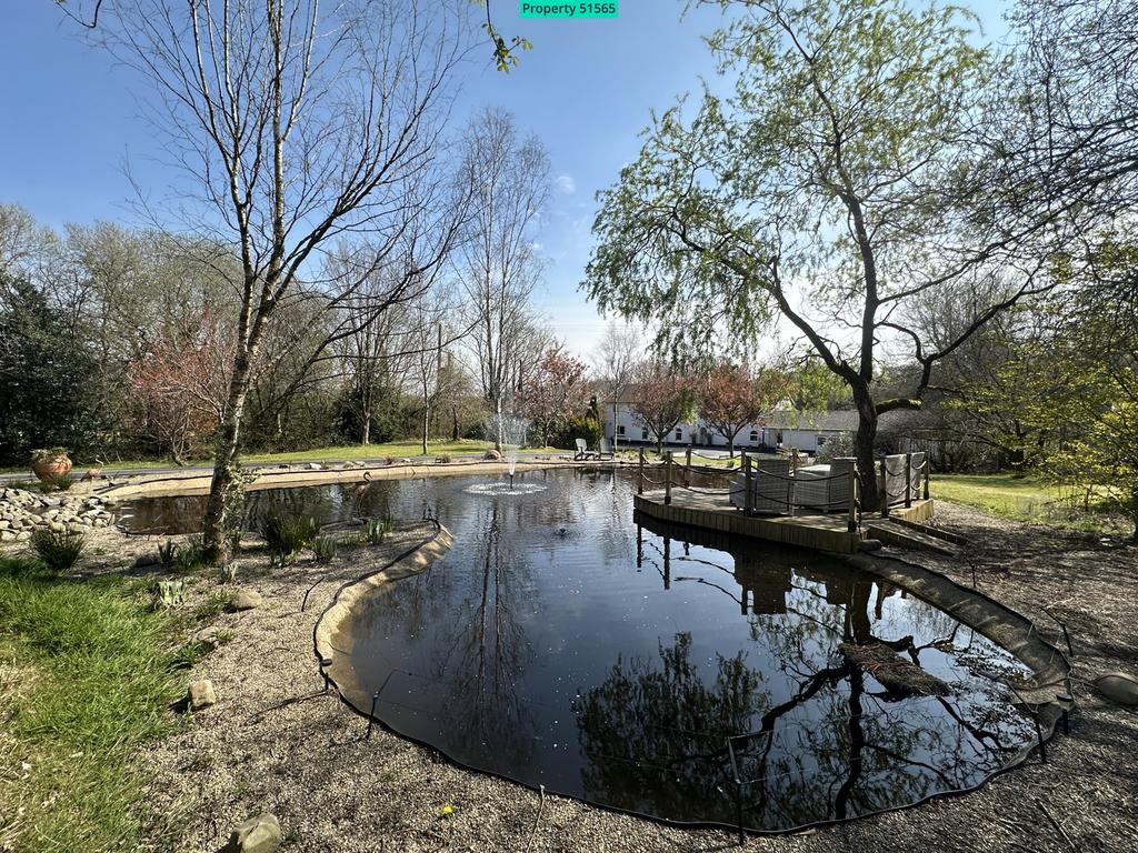 Front Pond