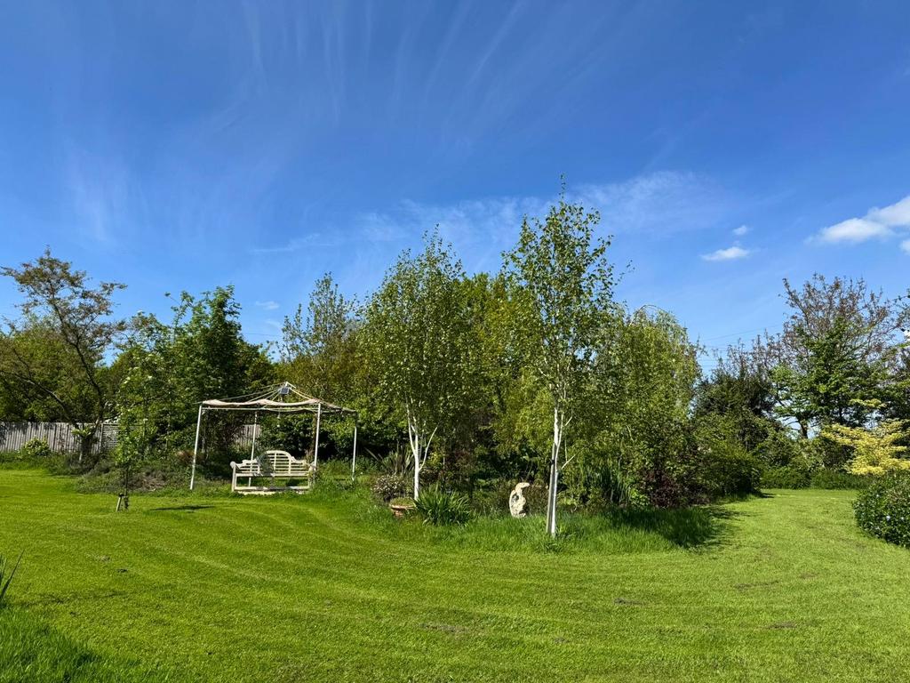 Grounds