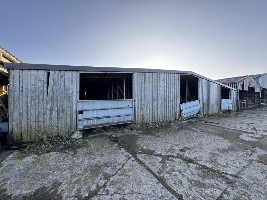 Calving Shed