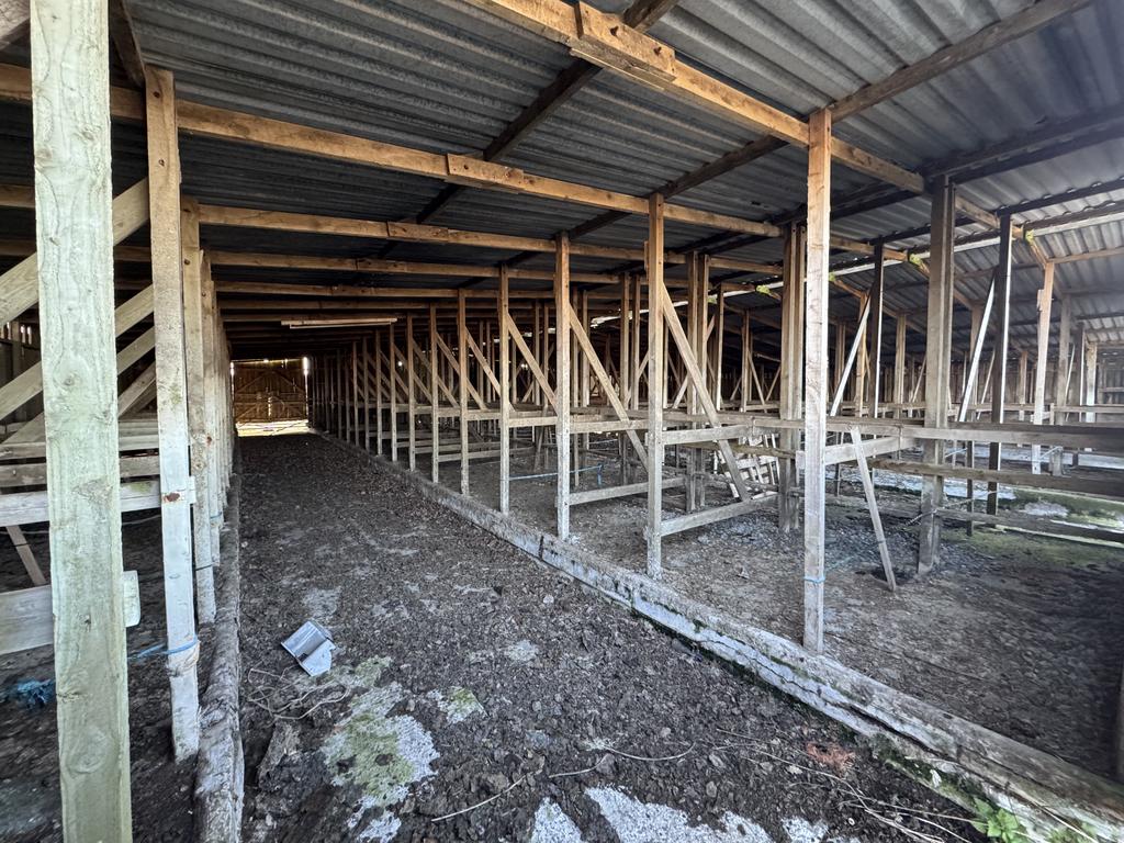Calving Shed