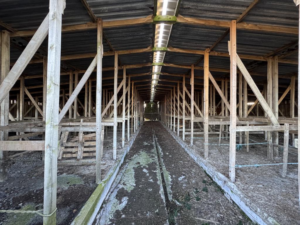 Calving Shed
