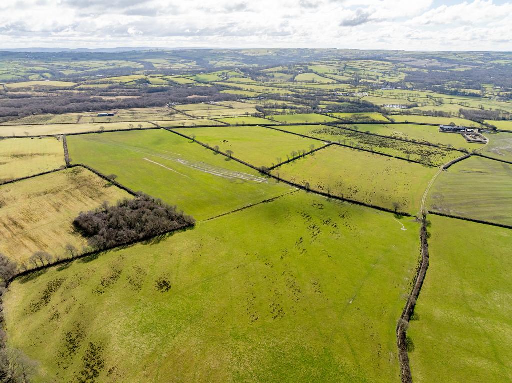 The land