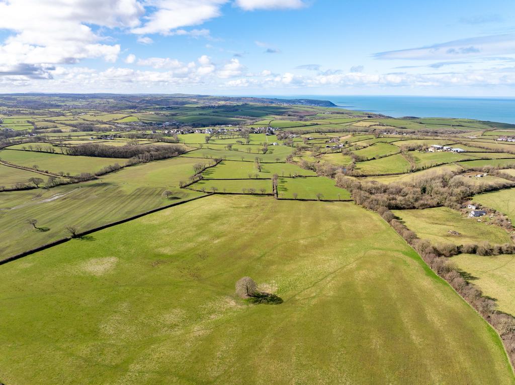 The land
