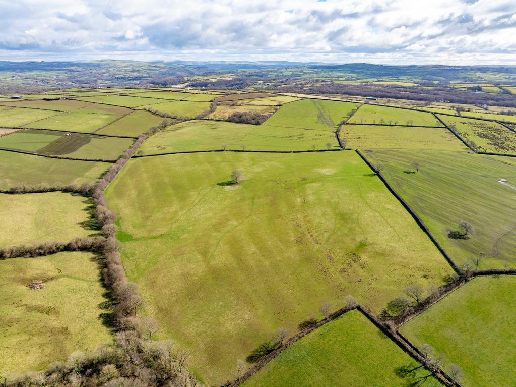 The land