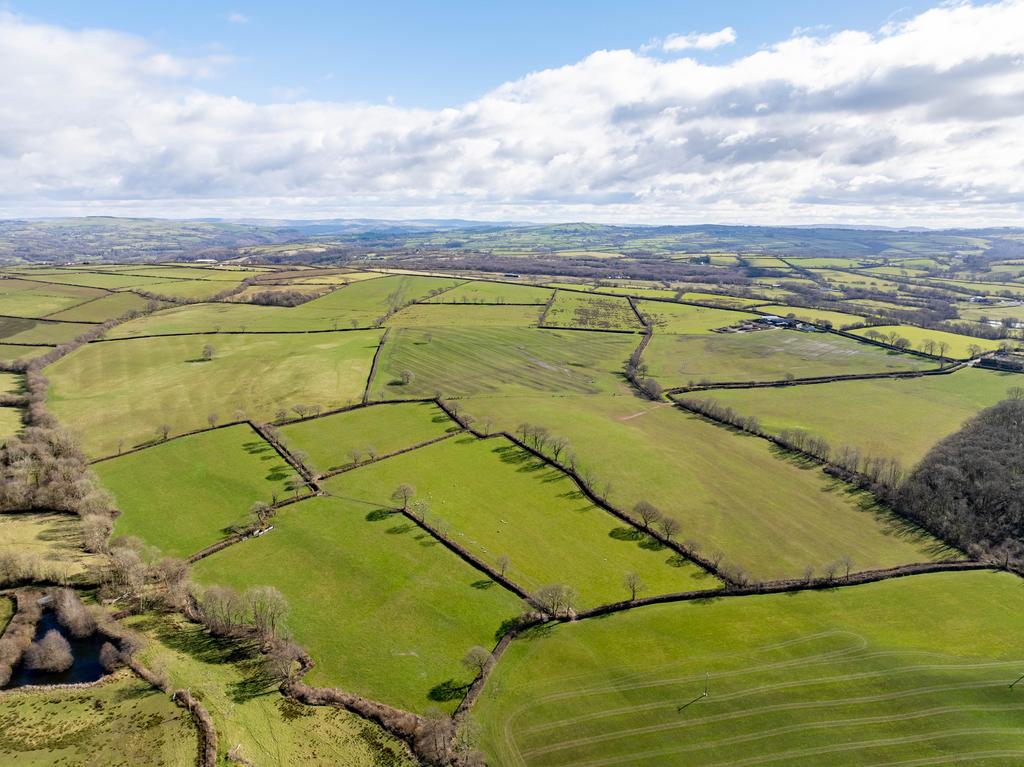The land