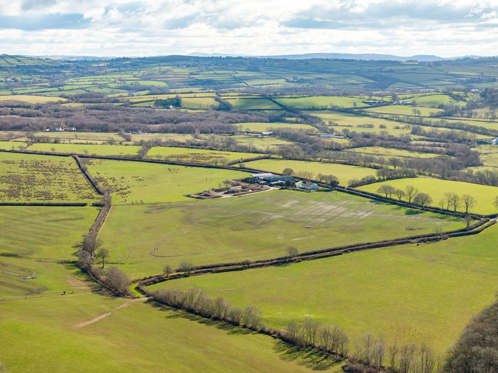 The land