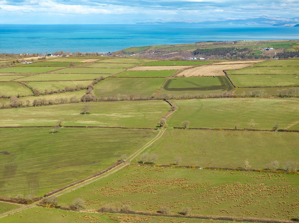 The land