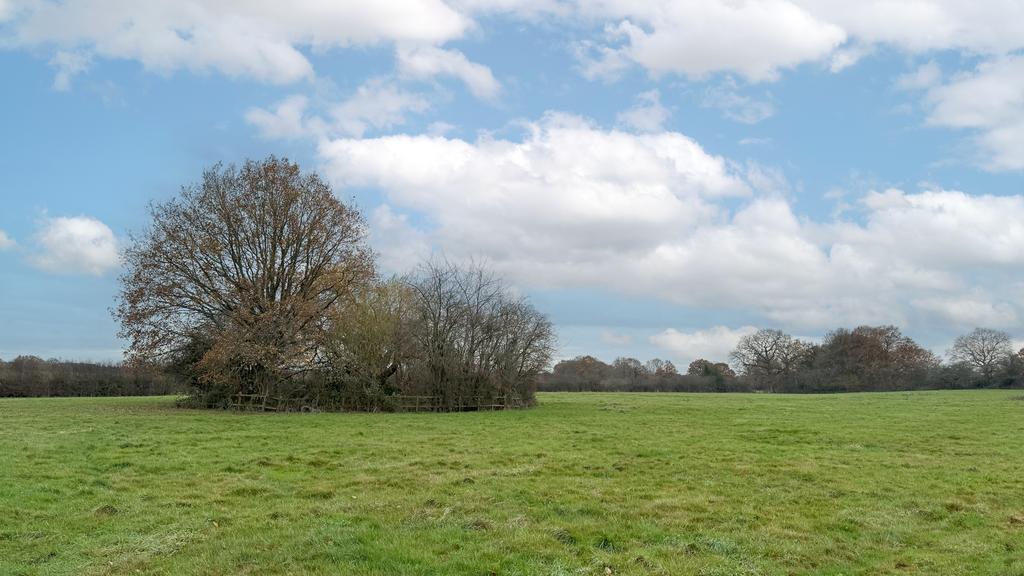 Includes a charming tree-lined pond.