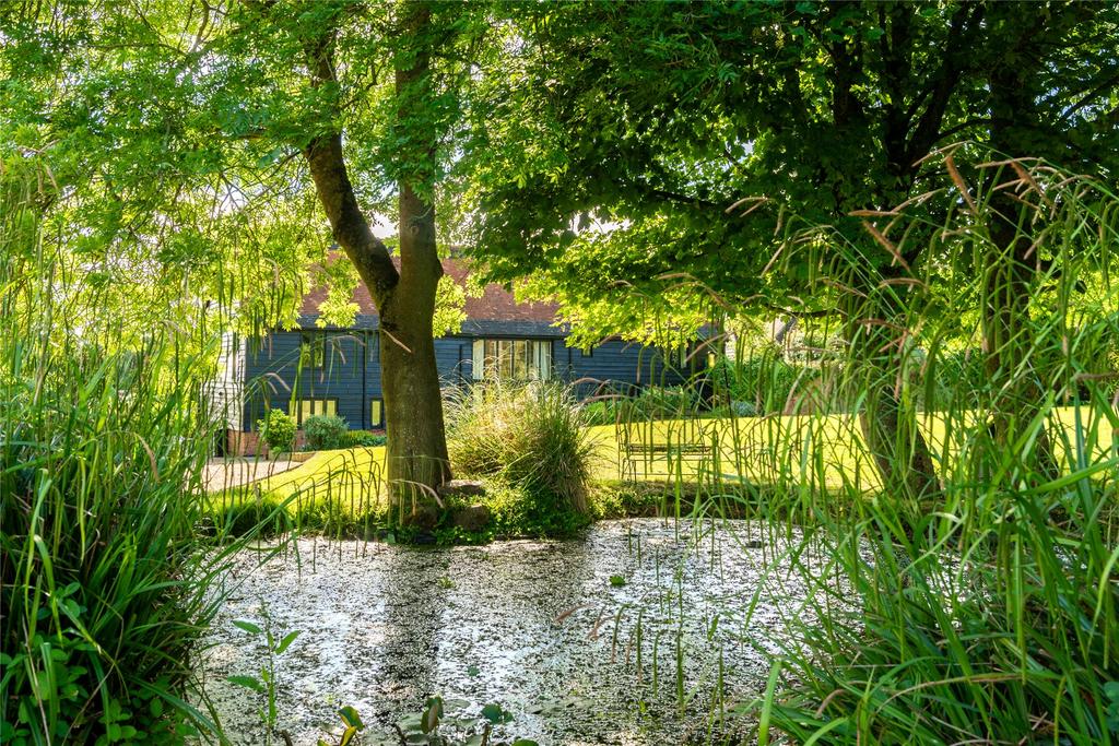 Pond