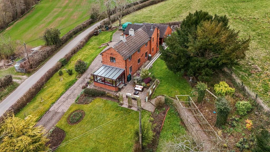 WEB 1258087 (9)d