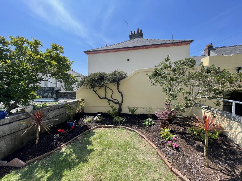 New garden