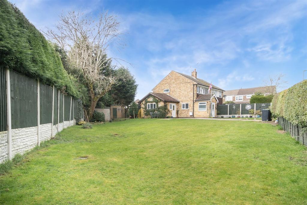 Garden with Potential