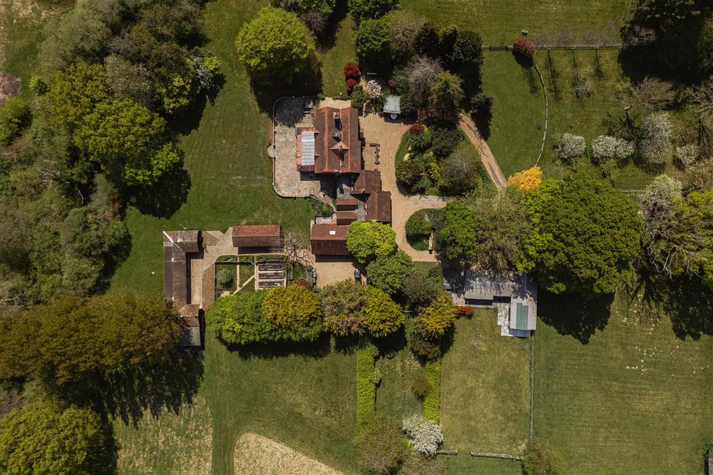 DJI 0031.jpg