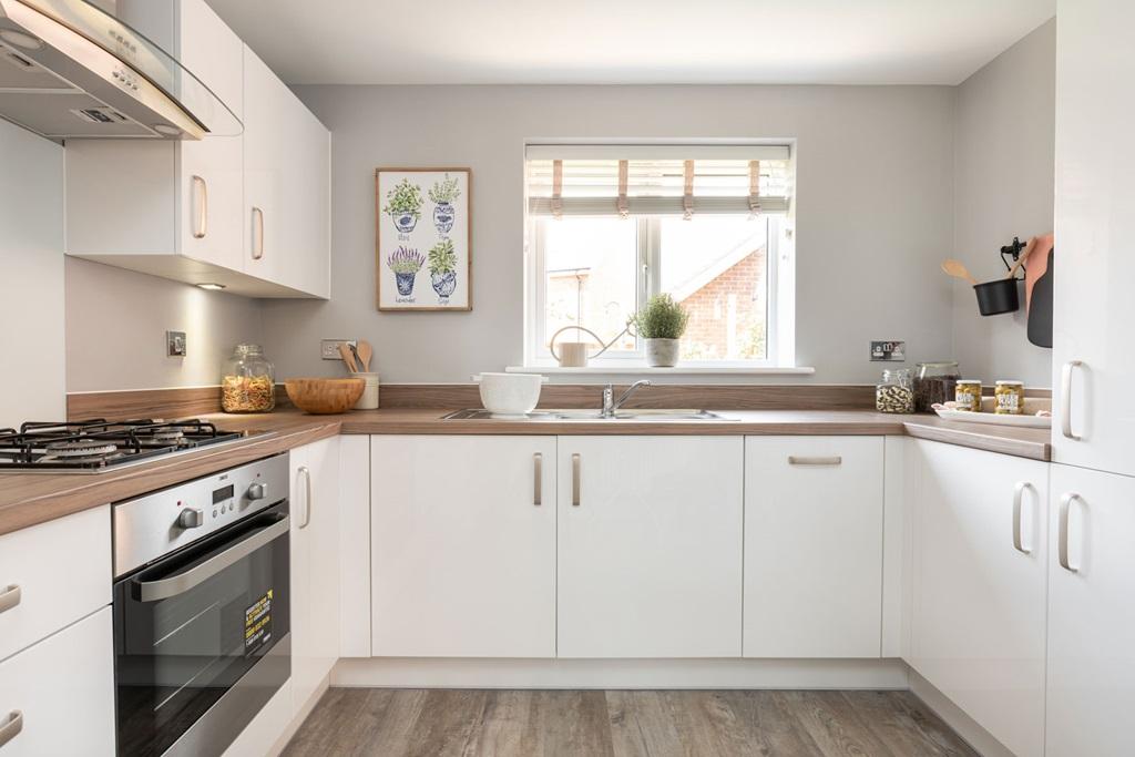 Cook and bake for family and friends