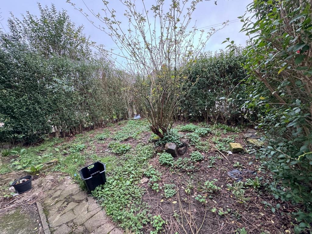 Front garden.jpg