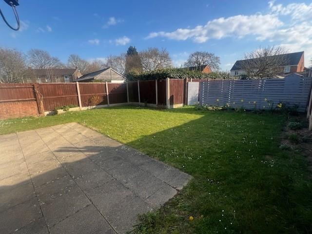 Back garden