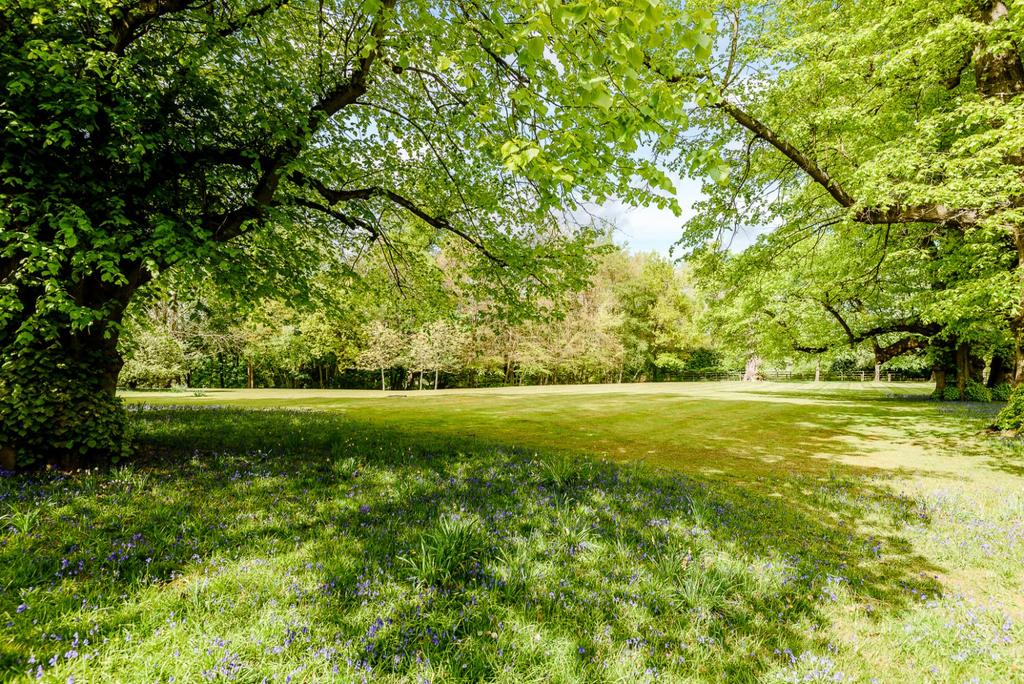 Grounds