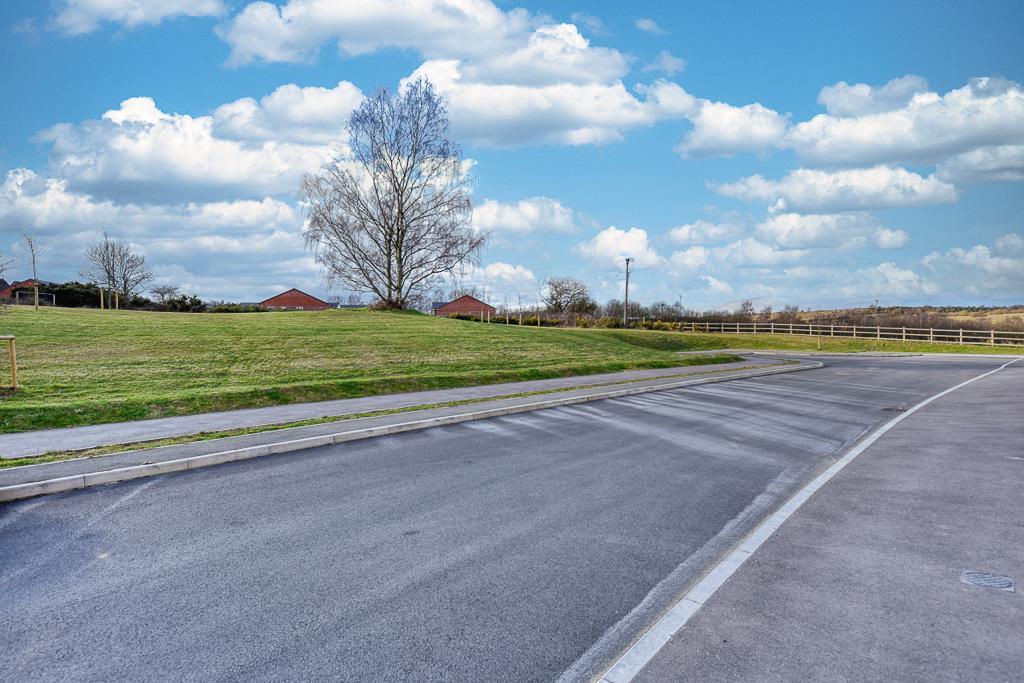 DSC 8915 hdr.jpg