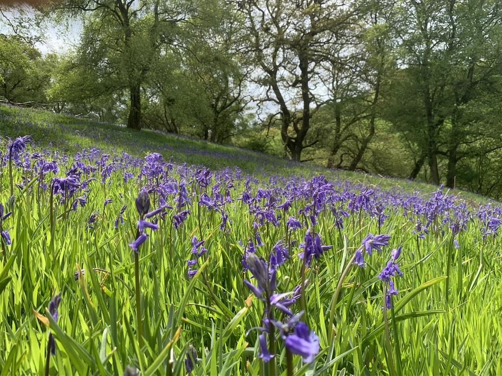 Img 0484.jpg
