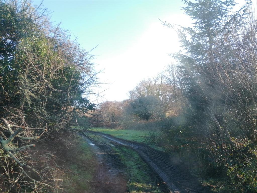 IMG 20230126 110225.jpg