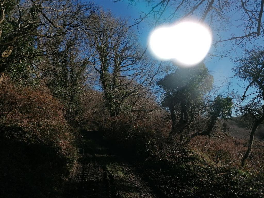IMG 20230126 110329.jpg