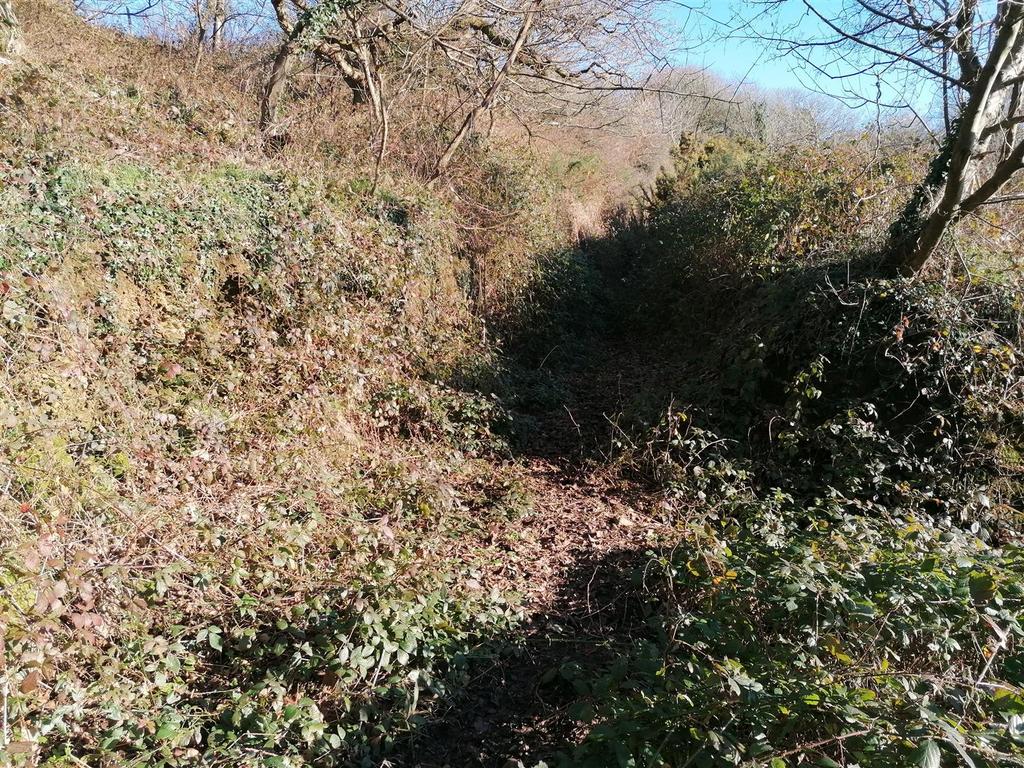 IMG 20230126 110726.jpg