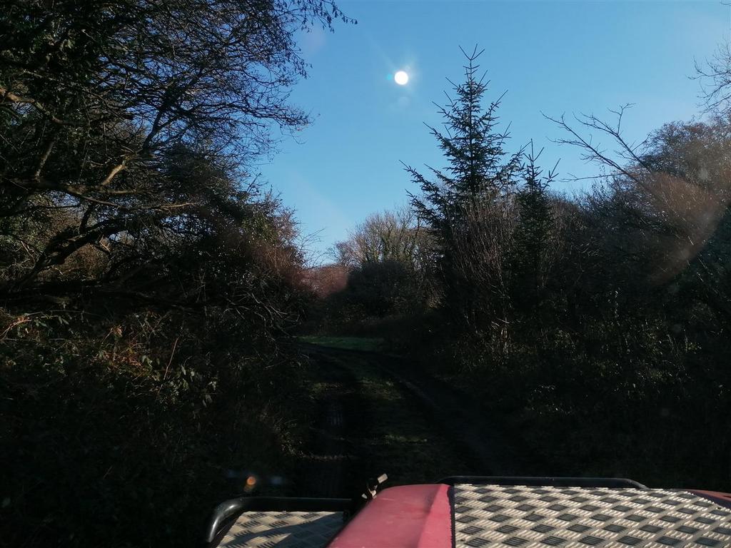 IMG 20230126 110220.jpg