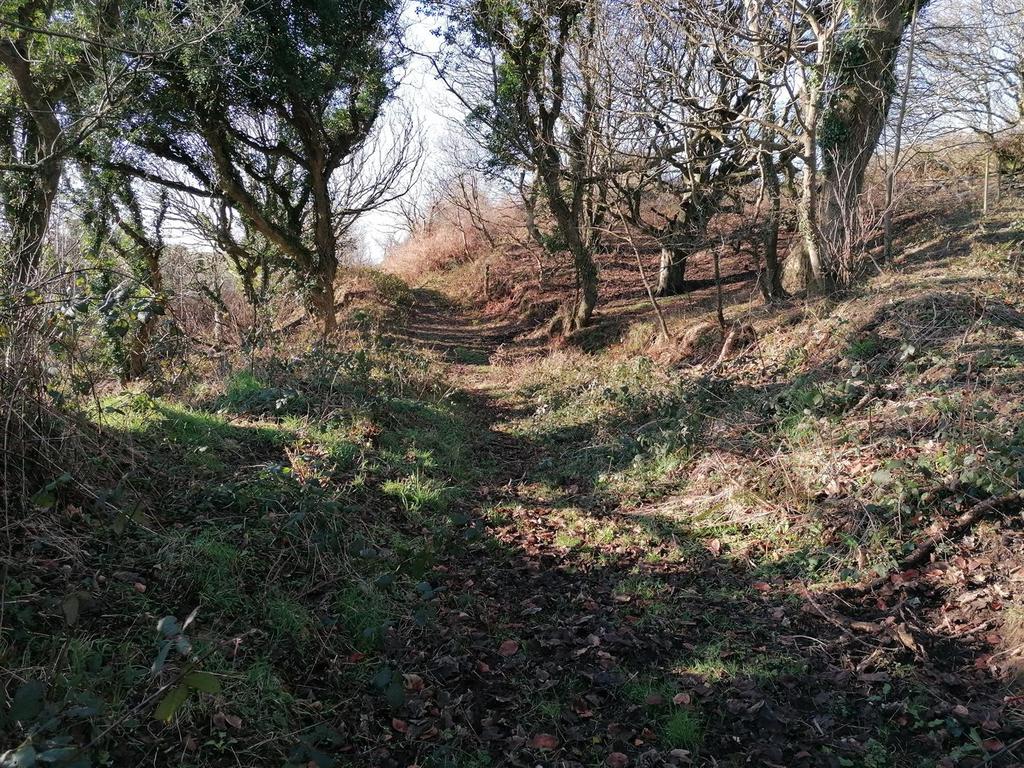 IMG 20230126 110718.jpg