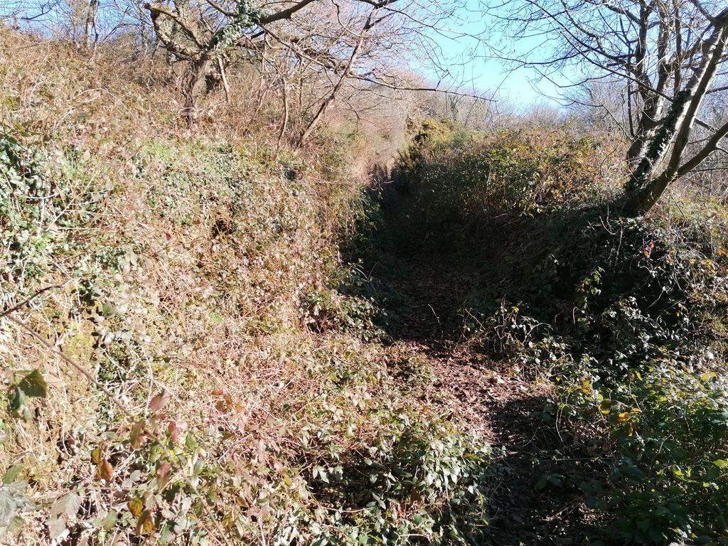 IMG 20230126 110742.jpg