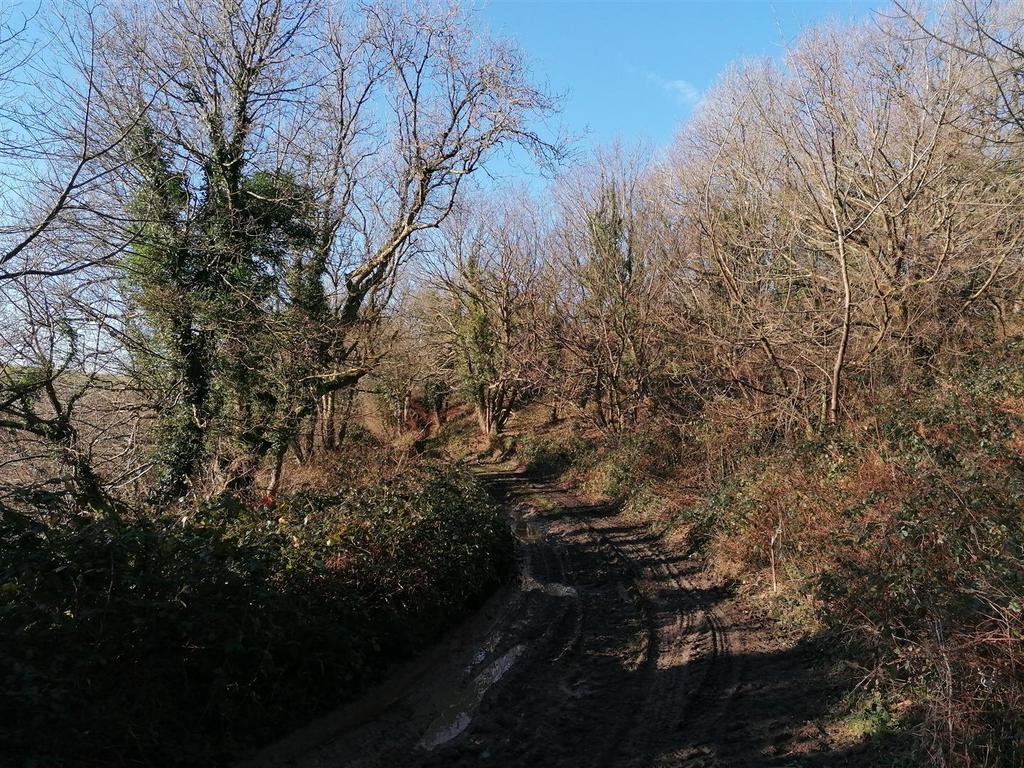 IMG 20230126 110939.jpg