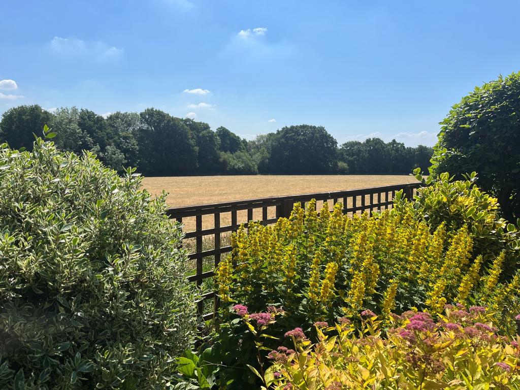 View From Garden