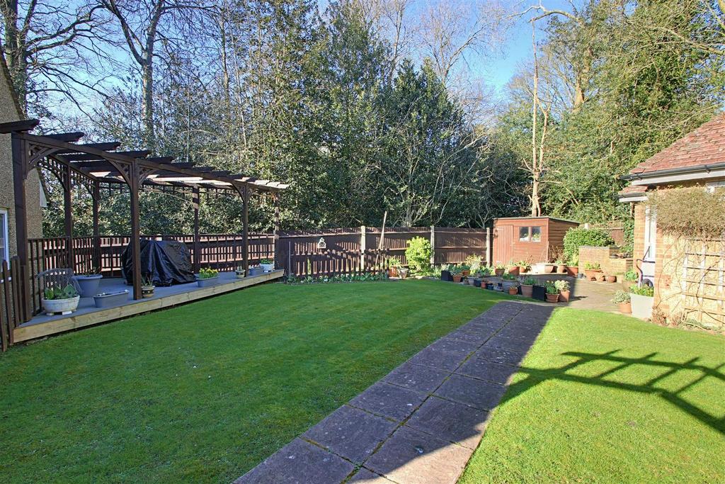 Garden 1.JPG