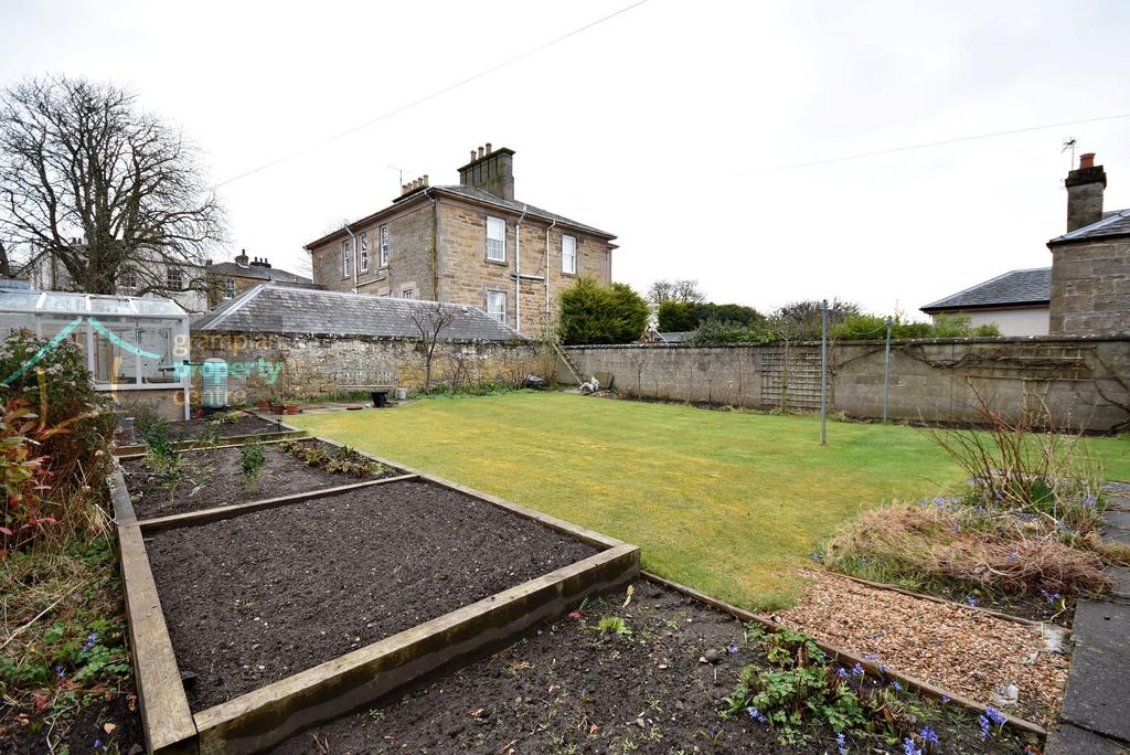 New garden .JPG