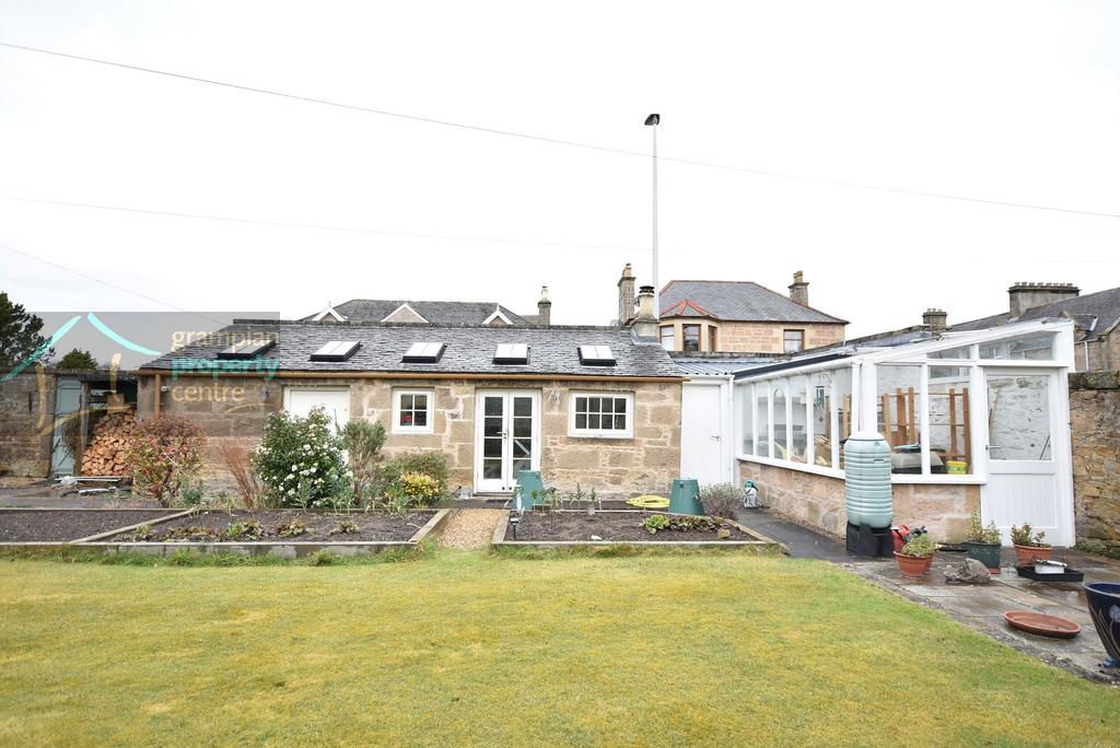 New garden  4.JPG