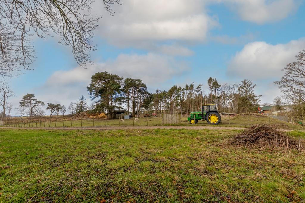 Middle Low Woodside Barn   Private Field