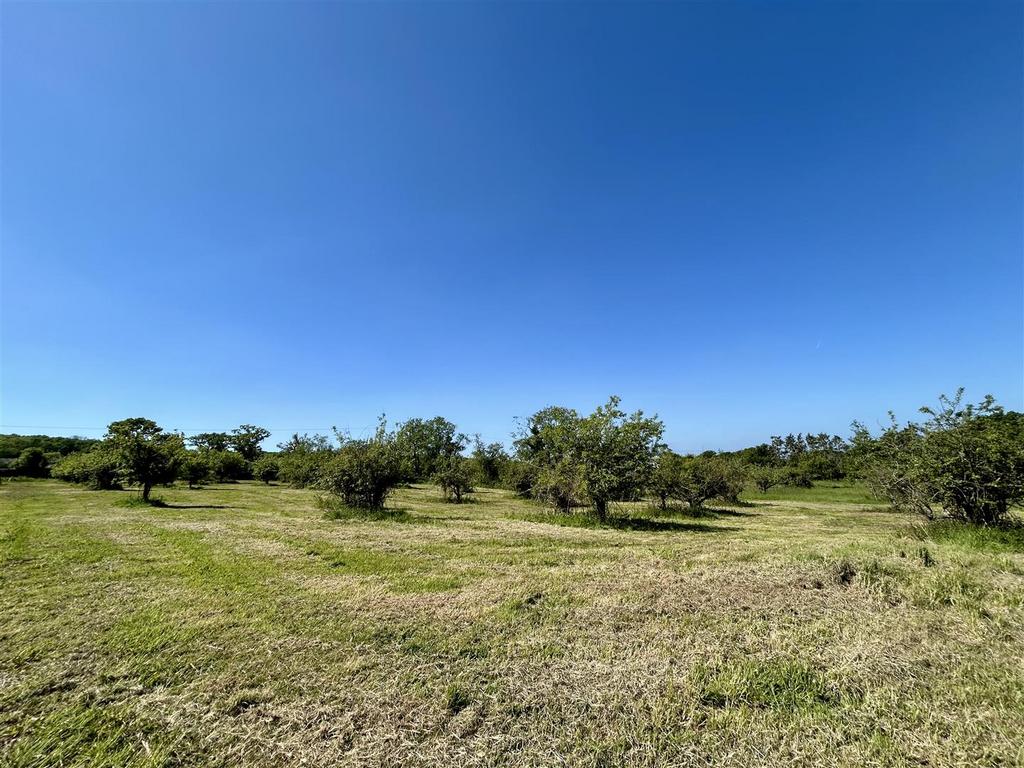 IMG 7100.jpg