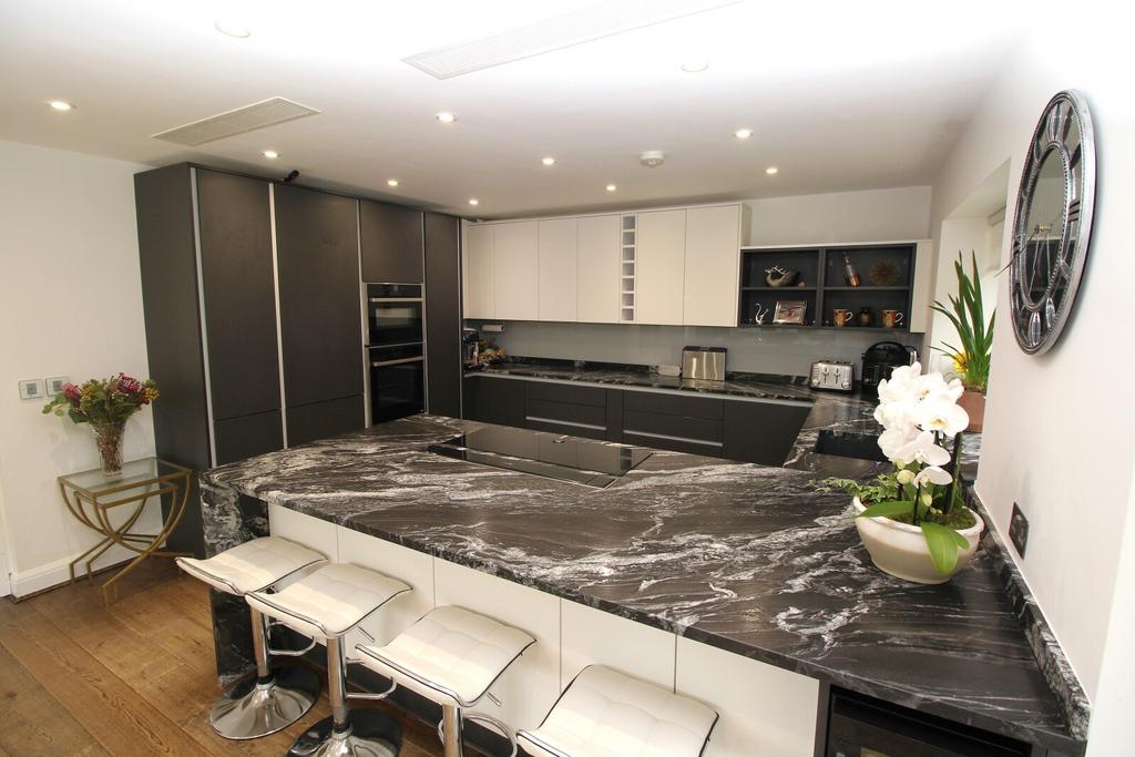 Kitchen View 2