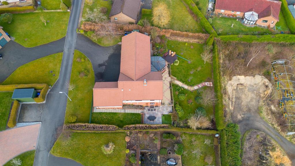 DJI 0406.jpg