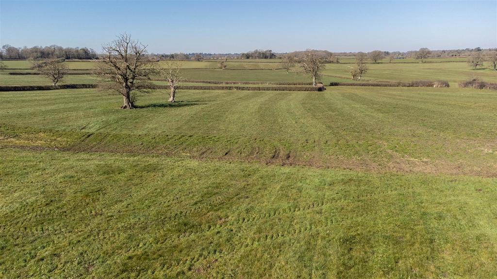 DJI 0021.jpg
