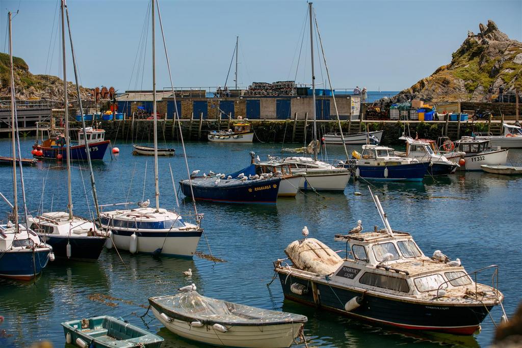 The harbour
